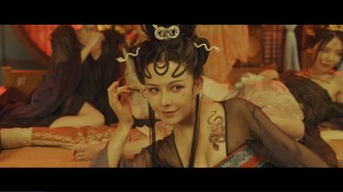 画皮是什么意思？-新手到底带画皮还是孔雀