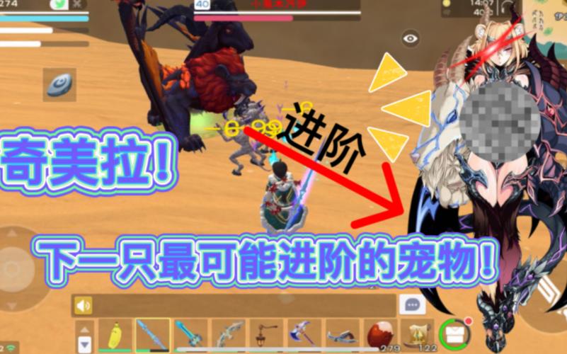 创造与魔法比较简单训导宠物？-创造与魔法新手训宠