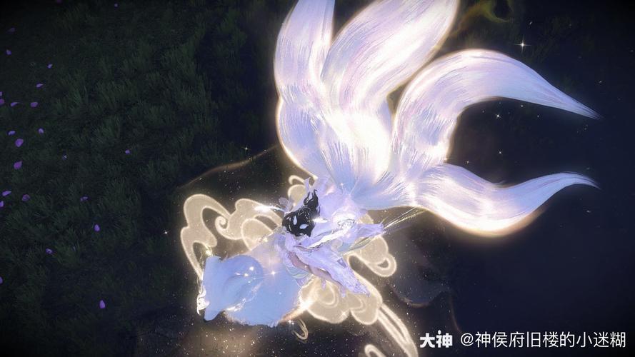 逆水寒转职狐狸去哪里了？-贪婪洞窟2新手转职