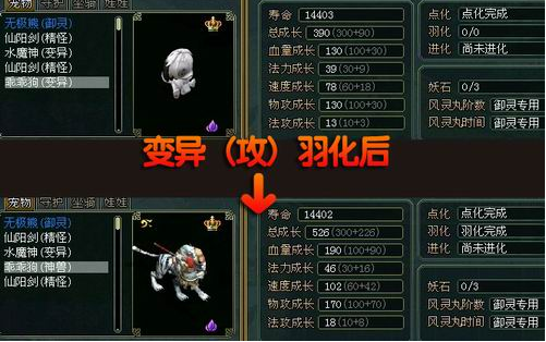 问道变异攻略？-问道手游新手变异宠物