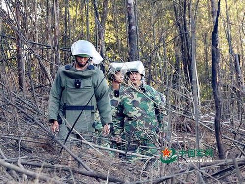 中越之间有多少关口？-边境旅行过河之前新手任务是不是要全做