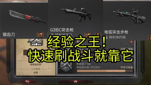 明日之后第三季新手做什么枪？-网易明日之后新手教程
