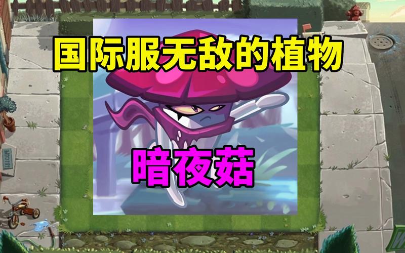 暗夜菇怎么获得？-黑暗孢子新手