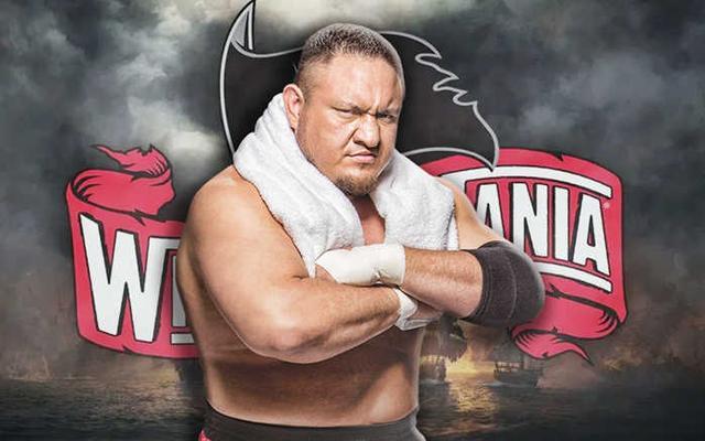 萨摩亚乔是哪里人？-wwe新手操作