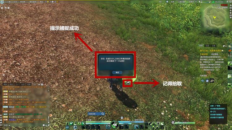 LR抓宠练级总攻略？-天涯明月刀新手猎户怎么捉宠物