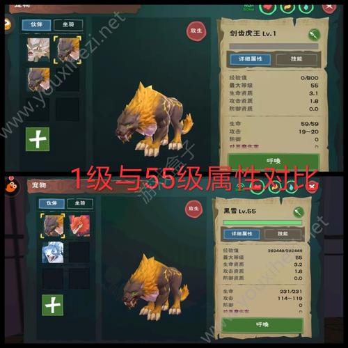 创造与魔法新手教学驯宠物？-创造与魔法坐骑新手
