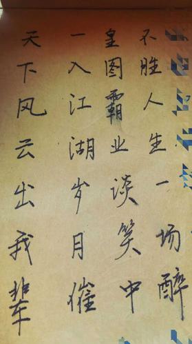 天下风云出我辈,一入江湖岁月催。皇朝霸业谈笑间,不胜人间一场醉？-王朝霸域新手任务攻略