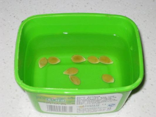 种子催芽用什么药？-种子洗白神器最新手机版下载