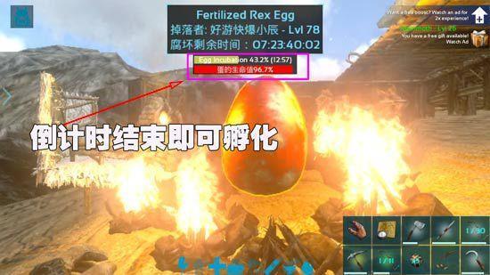 方舟生存进化火龙蛋怎么孵化？-方舟孵龙蛋手游新手