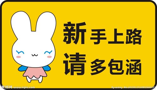 新手上路玩什么？-新手打团须知