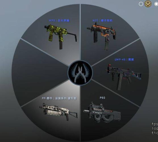 csgo新手推荐开哪个胶囊？-csgo新手推荐武器