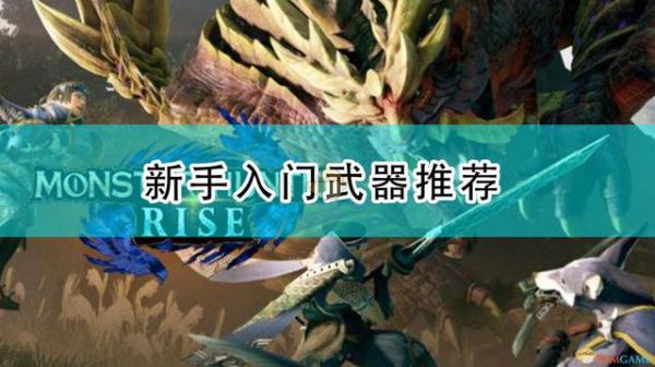 怪猎什么武器最爽？-怪猎 新手玩哪个武器