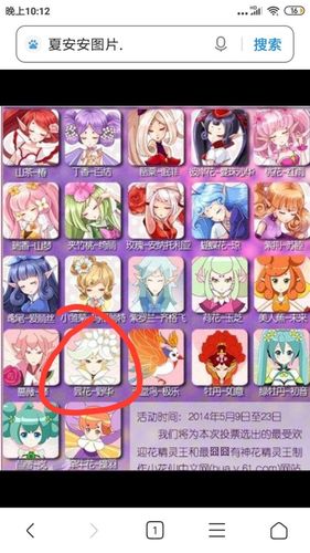古城堡月季优缺点？-小花仙新手卡