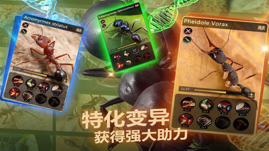 小小蚁国新手必备专属礼包？-你的新手专属