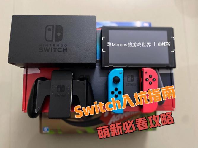 ns游戏普通版新手版区别？-新手买ns游戏推荐