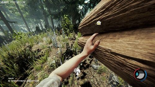 sonsoftheforest单人怎么玩？-森林theforest新手
