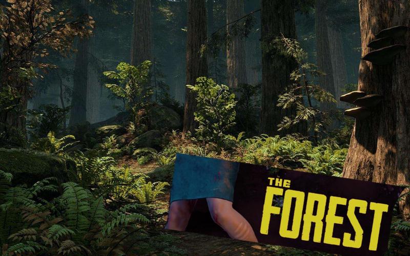 sonsoftheforest单人怎么玩？-森林theforest新手