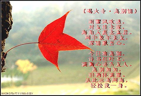 枫叶在古代诗词中有离别愁绪情感的诗句？-梦间集新手角色推荐