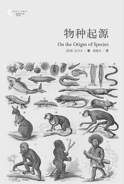 怎么理解物种起源？-物种起源怎么玩_物种起源新手攻略