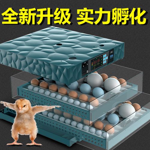 刚买的孵化器可以孵化鸡蛋吗？-风之大陆新手三种蛋