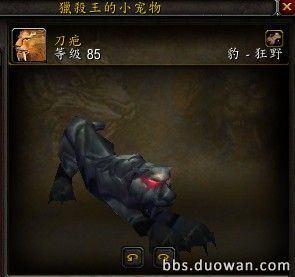 矮人猎人60级抓什么宝宝？-矮人新手村猎人宝宝