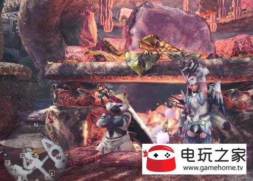 怪物猎人捕获玉怎么获取？-《怪物猎人世界》新手捕获技巧分享