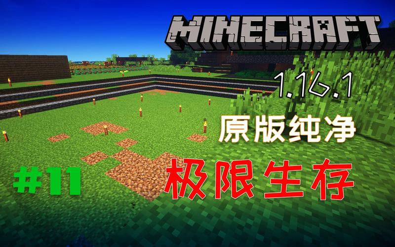 mj中文版app好用吗？-我的世界中文版生存新手