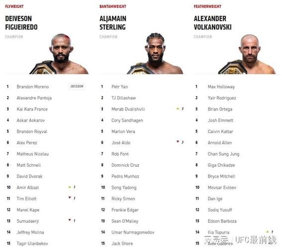 ufc各个量级的冠军一般都拿多少出场费?-ufc新手打多久才能打冠军联赛