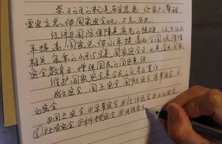 大学生如何维护国家安全心得？-全军出击新手保护