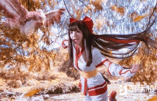 王者荣耀娜可露露和不知火舞哪个更容易上手？-新手娜可露露