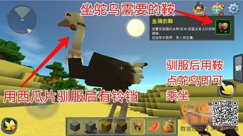 迷你世界怎么让鸵鸟生孩子？-迷你世界新手玩冒?U??l