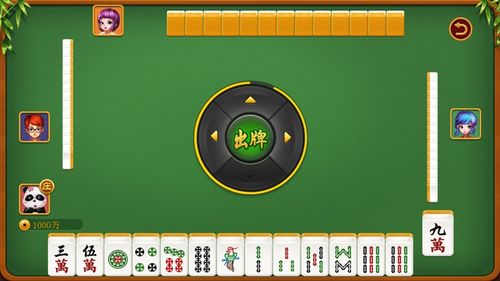 iPad mini博雅四川麻将玩不了怎么办？-博雅麻将全集最新手机版下载