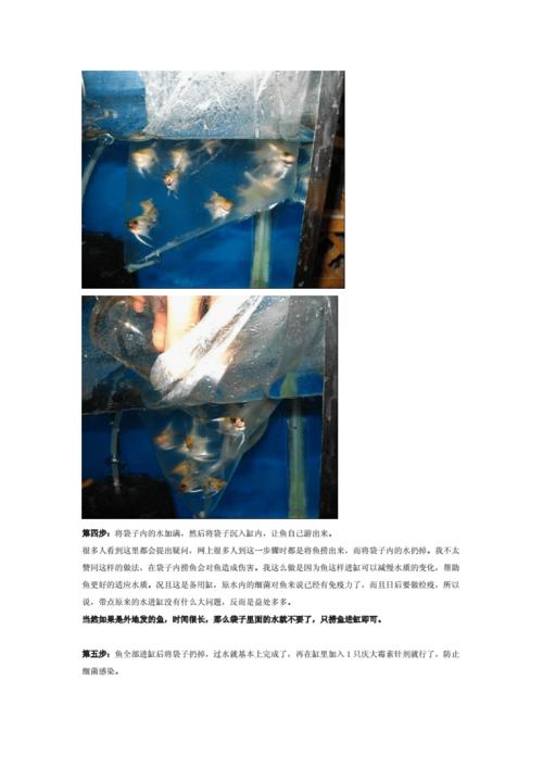 养鱼苗新手入门？-缺氧 新手指南