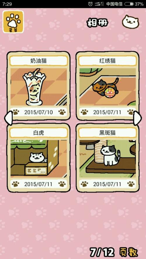 什么是后院猫，如何辨别？-猫咪后院攻新手怎么