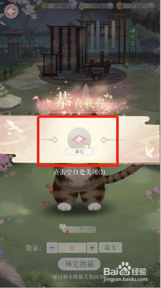 灵猫传的猫后院怎么升级？-猫咪后院攻新手怎么玩