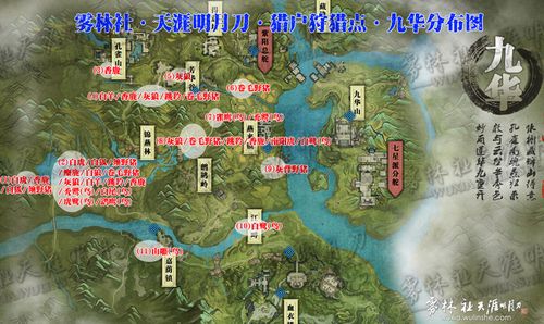 烟雨江湖天刀开局叛门最佳路线？-天刀新手去哪个区