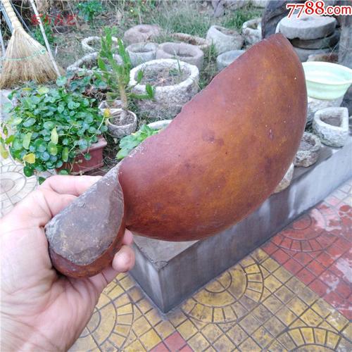 葫芦开瓢的正确方法？-漆弹大作战新手攻略