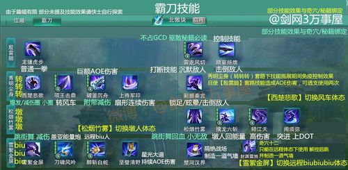 剑网三霸刀技能栏怎么设置？-剑网三霸刀新手小白攻略