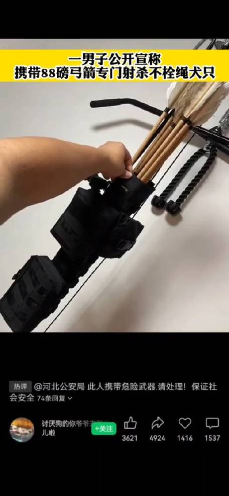 养一箭什么意思？-叛乱新手教程怎么开枪