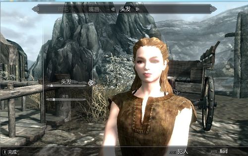 ps4的上古卷轴5怎么用mod？-上古卷轴5重制1.5.16新手打mod