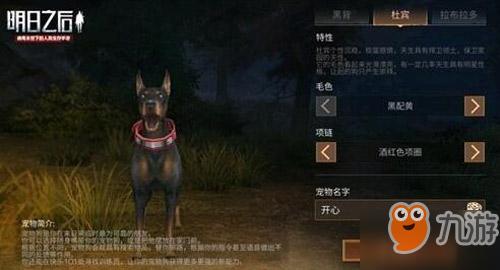 明日之后如何换宠物，明日之后狗可以换吗？-明日之后新手宠物选择