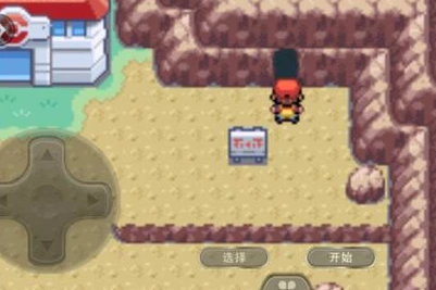 新手怎么进驻菜市场？-口袋妖怪火红版新手