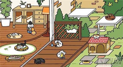 后院猫繁衍方式-猫咪后院攻略 新手