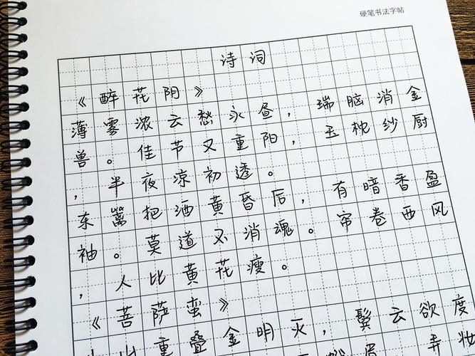 初学者练字选什么字体好？-明日之后新手选什么职业比较好