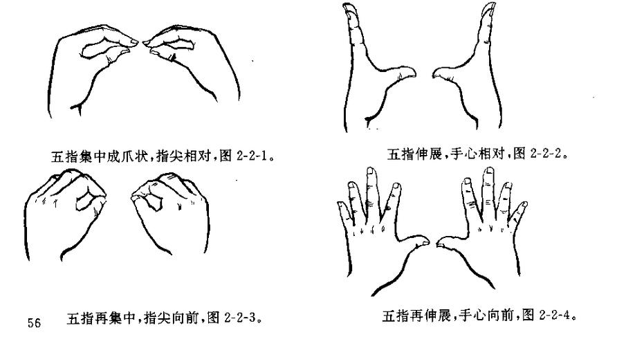 手指健脑操的正确做法？-新手敲笔单手教学