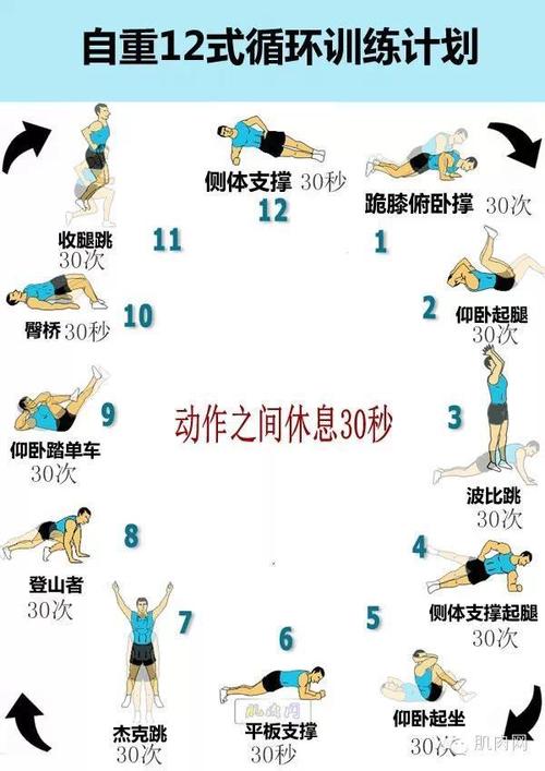 自重训练的好处？-自重适合新手
