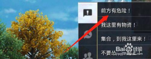 和平精英前方有危险怎么标记？-精英危险新手应该干嘛