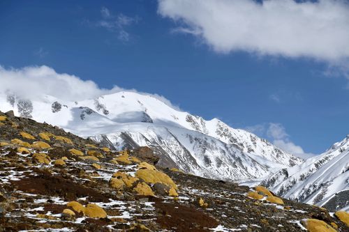 岗什卡雪山登顶费用？-新手爬雪山费用