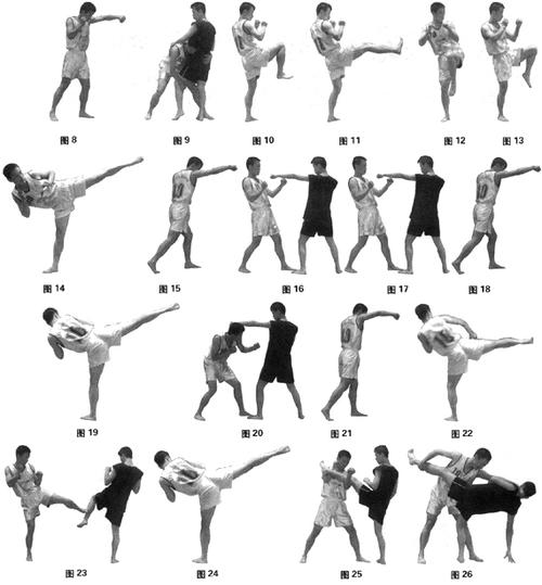 初学者适合练什么拳？-新手散打