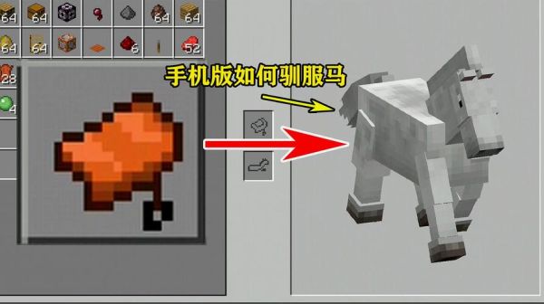 普通人新手如何驯服马？-我的世界马新手教学